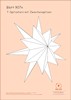 Malblatt 907n