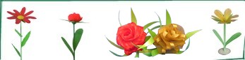 zu den Blumen